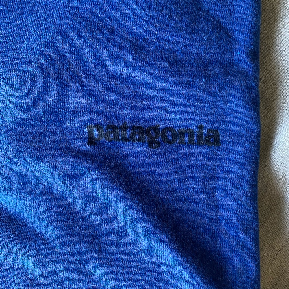 Patagonia Blue Tshirt